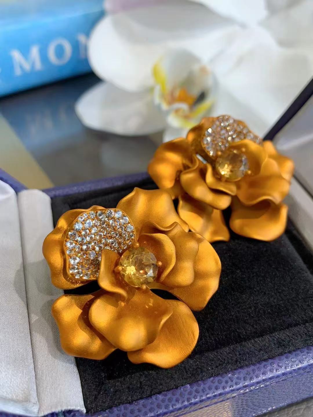 Jewelry Titanium and aluminum Earrings